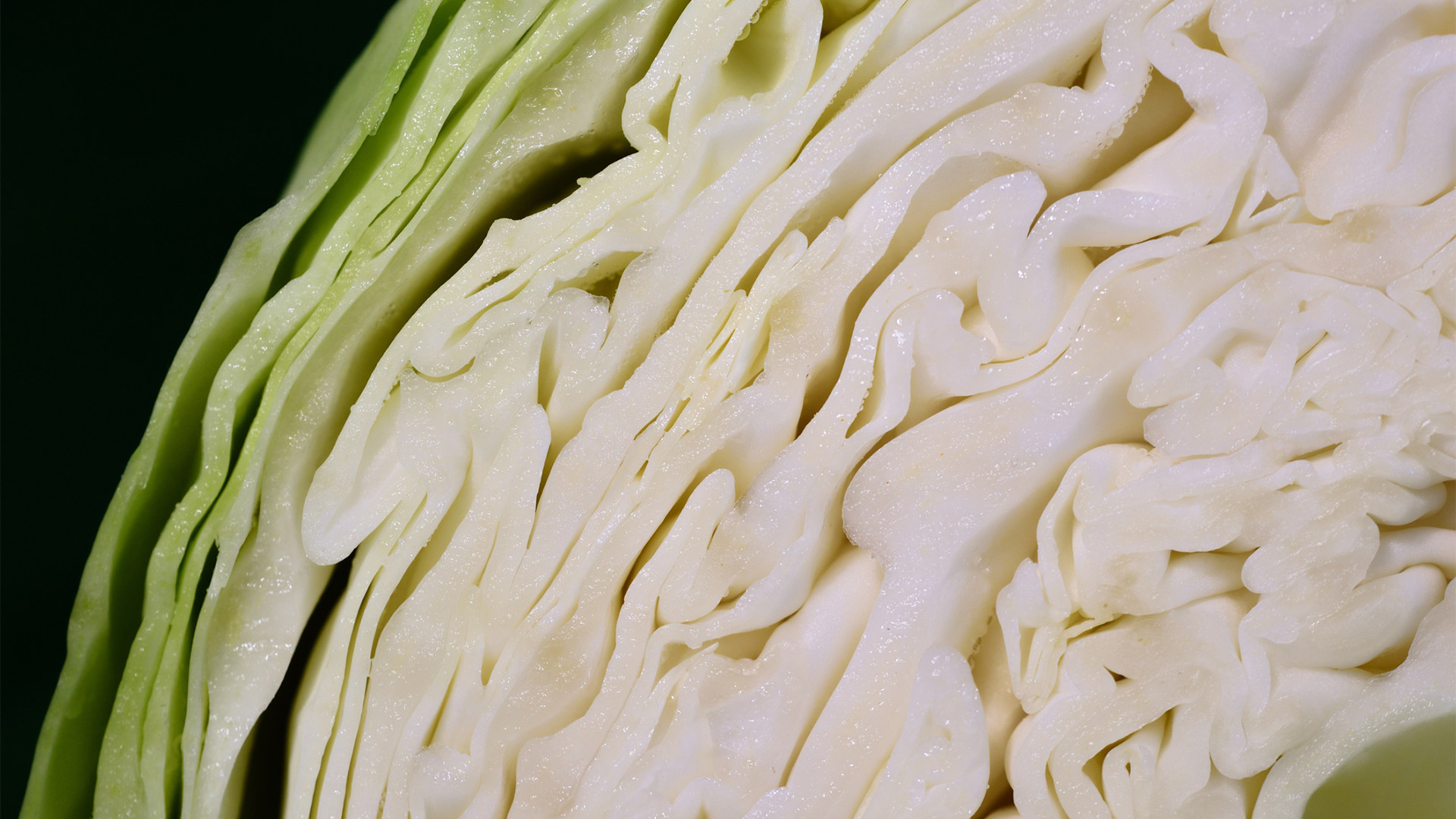 Белокочанная капуста: пять самых полезных веществ овоща