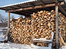 Сельские жители Удмуртии сообщили о нехватке дров