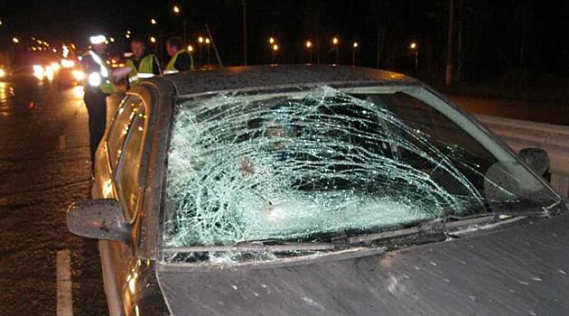 В Кирове водитель «Шкоды» насмерть сбил 64-летнего мужчину