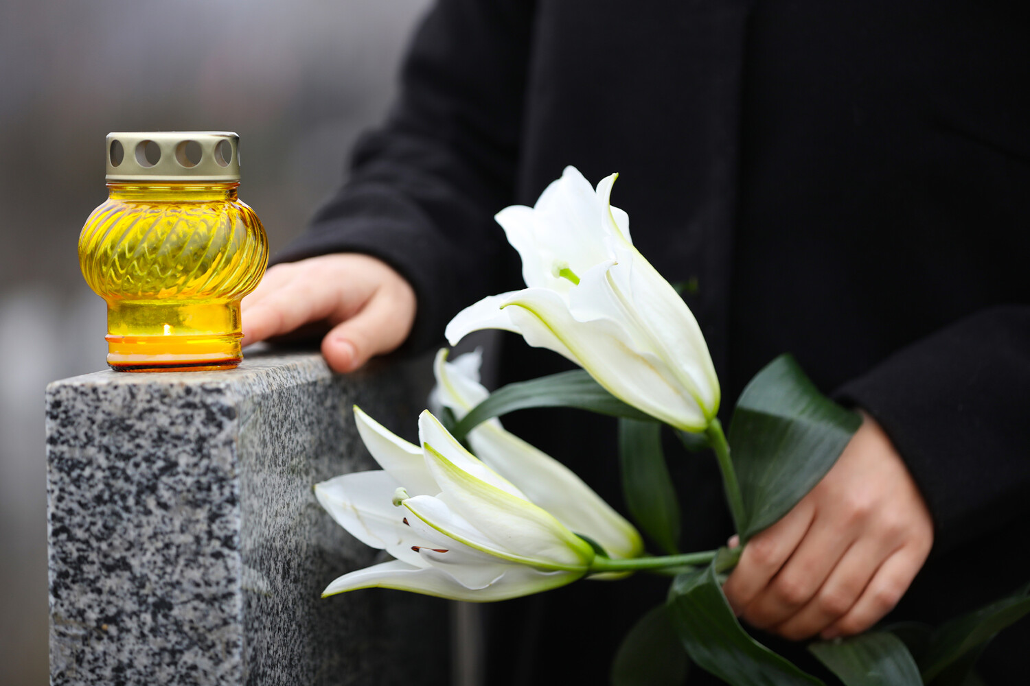 СК: в Ростовской области возбудили дело из-за повреждения могил бойцов СВО