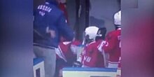 В Сочи детский хоккейный тренер избил клюшкой своего подопечного