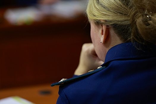 В Краснодаре женщина получила срок за продажу снайперских прицелов иностранцам
