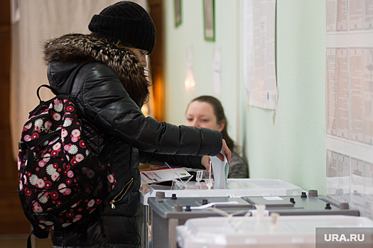 Голосование на выборах в России впервые станет удаленным