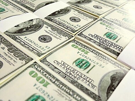 Пассажирка из Грузии пыталась незаконно провезти 105 тысяч долларов во Внуково