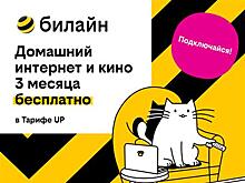 Базя, Пинг и Пуш сделают первые 3 месяца домашнего интернета с кинотеатром и цифровым ТВ бесплатными