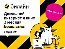 Базя, Пинг и Пуш сделают первые 3 месяца домашнего интернета с кинотеатром и цифровым ТВ бесплатными