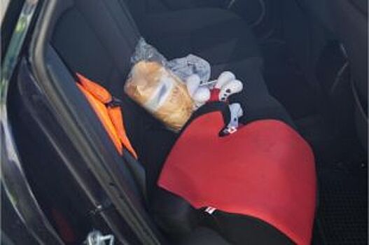 25 января ГИБДД проведет в Барнауле акцию «Детское кресло»