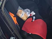 25 января ГИБДД проведет в Барнауле акцию «Детское кресло»