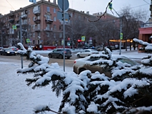 Мощный ветер и 15-градусные морозы ожидаются в Волгоградской области