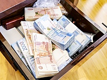 Хабаровчанке вынесли приговор по делу о неуплате налогов на 85 млн рублей