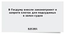 В Госдуму внесли законопроект о запрете клеток для подсудимых в залах судов