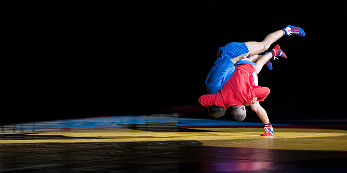 Сборная России выиграла медальный зачет чемпионат мира по самбо среди юниоров