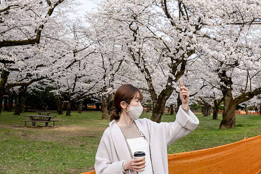Ученые объясняют ранее цветение деревьев потеплением климата. Весна в Киото в этом году аномально теплая. 