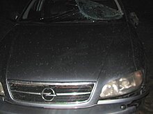 Лесовоз протаранил легковушку Lada в Мозыре