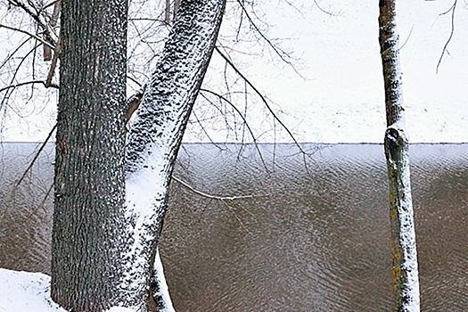 В Беларуси ожидается более высокое половодье, чем раньше