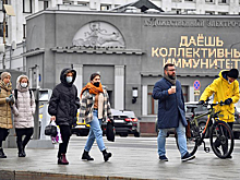 Раскрыт срок наступления пика заболевамости COVID-19 в России