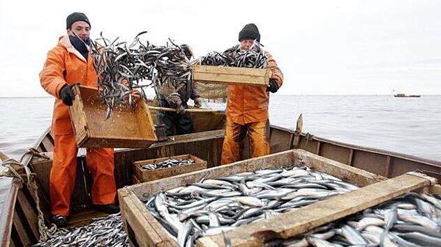 Фарерские острова продлили соглашение о рыболовстве с Россией