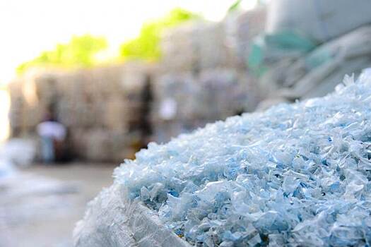 Пластиковые пакеты могут быть экологичнее бумажных
