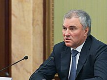 Володин назвал размер штрафов за пропаганду чайлдфри