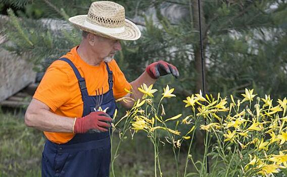 В Тюмени вырос спрос на садовников