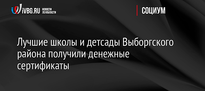 Лучшие школы и детсады Выборгского района получили денежные сертификаты