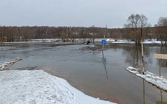 В Рязанской области число подтопленных мостов достигло 8 из-за разлива Пары в Сапожковском районе