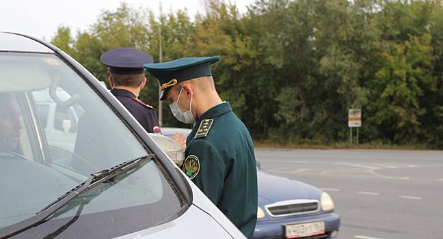 Растаможка транспортного средства — правила и этапы процедуры