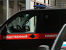 В Ленобласти водитель сбил ребенка «в воспитательных целях»