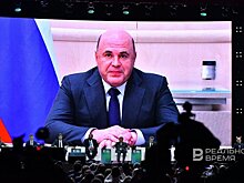 Михаил Мишустин назначил Елену Фастову первым заместителем министра сельского хозяйства