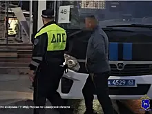 В Самаре водитель-иностранец без прав предложил взятку, но получит статью