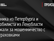 Чиновника из Петербурга и автомобилиста из Ленобласти задержали за мошенничество с автостраховками