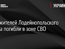 Двое жителей Лодейнопольского района погибли в зоне СВО