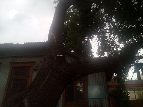В Челябинске дерево обрушилось на крышу 119-летнего дома напротив обкома КПРФ