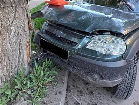 Под Самарой женщина на "Ниве" врезалась в дерево, пострадал ребенок