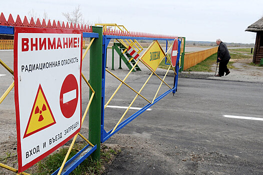 РФ и Беларусь откроют медцентры для детей из пострадавших от Чернобыля регионов