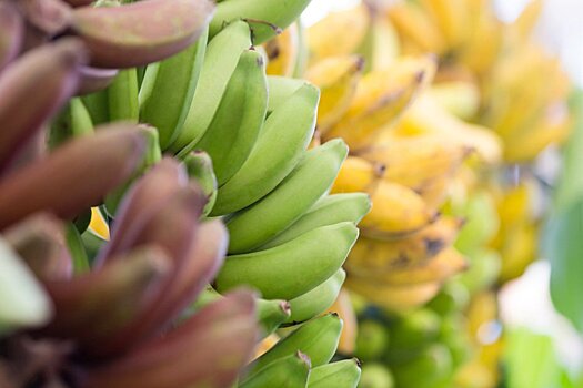 Все о бананах! Какие самые полезные?