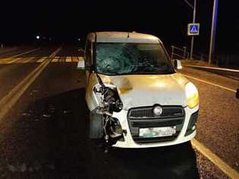 Пенсионерка погибла на трассе в Вологодской области