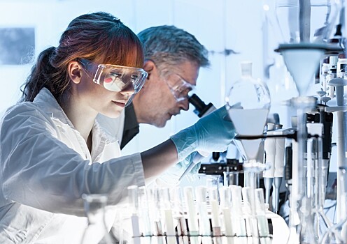 Ученые нашли уникальный ген, который отвечает за любопытство