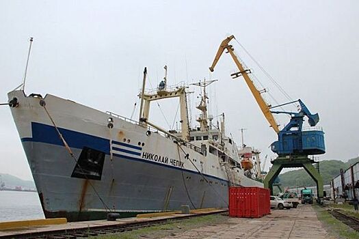 «Находкинская БАМР» погрузится в ревизию