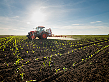 Bayer, Corteva и Syngenta презентовали новые гербициды