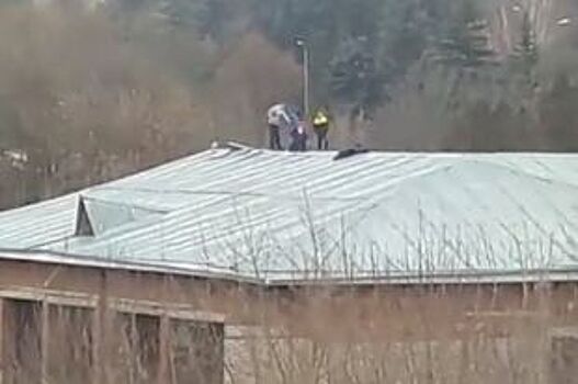 В Кисловодске дети залезли на крышу ради селфи