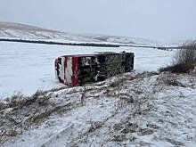 Автобус в российском регионе перевернулся из-за коровы