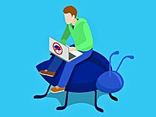 Большинство опрошенных IT-специалистов недовольны российскими межсетевыми экранами