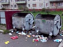 Жители недовольны. Ярославль опустился в рейтинге чистоты городов