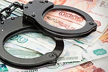 В Омске осудили воспитательницу за кражу у сироты 2,5 млн рублей