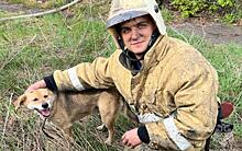 В Рязани известный блогер помог в спасении собаки во время пожара