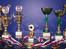 В Москве ищут подрядчика для проведения спортивных мероприятий