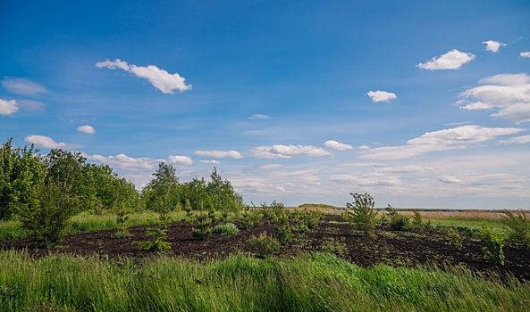 В апреле 2023 года в Волгоградской области измерили уровень радиации