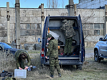 В Оленегорске нашли череп с фрагментами мягких тканей