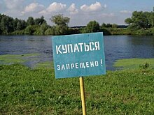 В популярном у петрозаводчан месте отдыха бактерий в 140 раз больше нормы